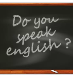 Tecaji neverbalne komunikacije osrednja slovenija