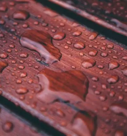 Zascita in obnova lesenih povrsin