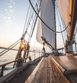 Zascita in obnova lesenih povrsin