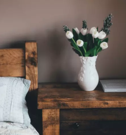 Zascita in obnova lesenih povrsin