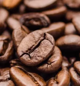 Dober kava bar goriska