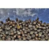 SEČNJA LESA, ANDRAŽ SUPIN S.P.