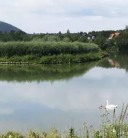 Izdelava hidroloskih studij stajerska