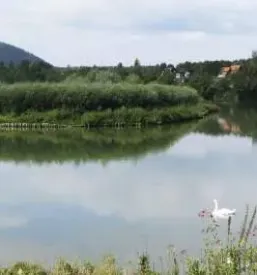 Izdelava hidroloskih studij stajerska