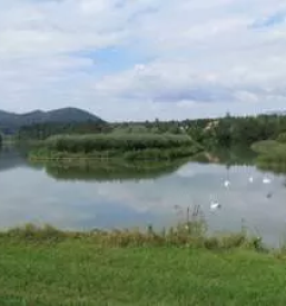 Izdelava hidroloskih studij stajerska