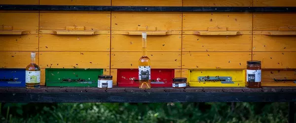 Čebelarstvo Prekmurje