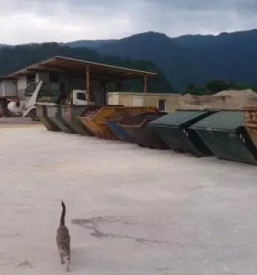 Najem kontejnerjev za kosovne odpadke