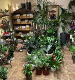 Dobra cvetličarna na Savinjskem