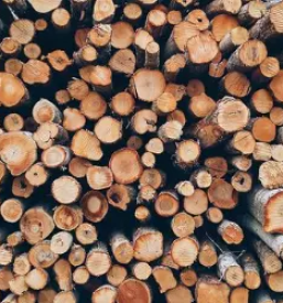 Secnja lesa ljubno ob savinji