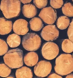Secnja lesa ljubno ob savinji