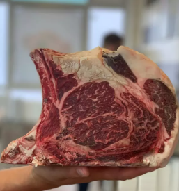 Dobra mesnica primorska