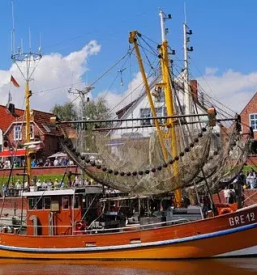 Kvalitetna izdelava in popravilo lesenih plovil primorska