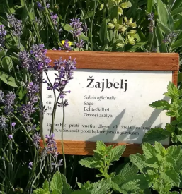 Akacijev med Prekmurje