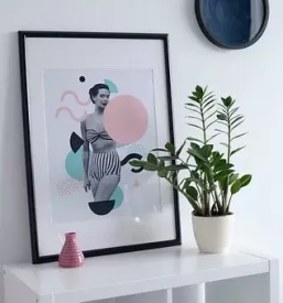 Okvirjanje slik domzale