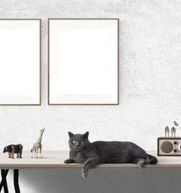 Okvirjanje slik domzale