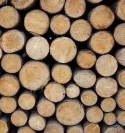 Proizvodnja lesene embalaze podravska