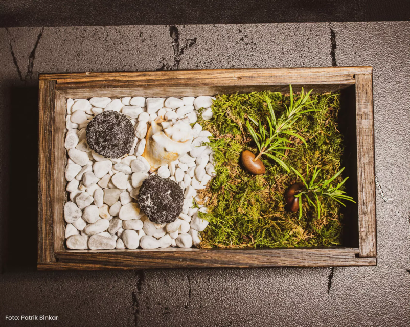 Ponudba sezonskih degustacijskih menijev in veganskih menijev Slovenija