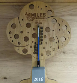 Proizvodnja in prodaja lesenih izdelkov slovenija