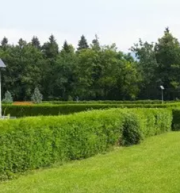 Solar street lights slovenia
