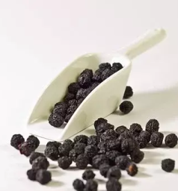 Aronija iz ekoloske pridelave stajerska