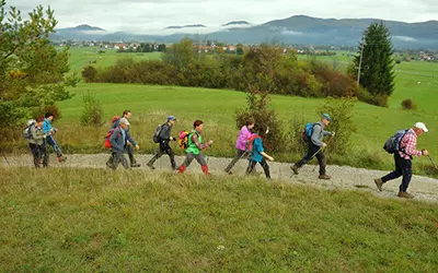 Organizacija kulturnih prireditev Loška dolina