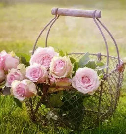 Cvetlični aranžmaji Litija