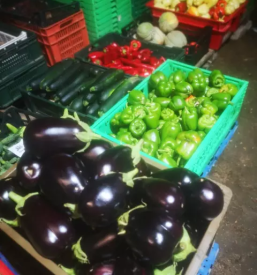 Domaca zelenjava savinjska