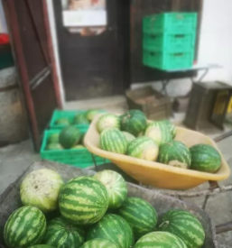 Ekoloska zelenjava savinjska