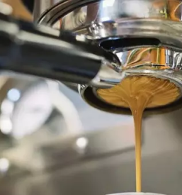 Kava bar miklavz na dravskem polju