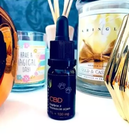 Nega psov na Primorska