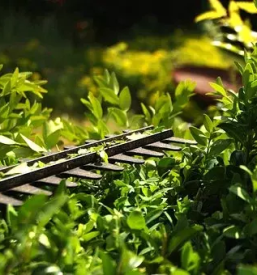 Urejanje okolice domzale