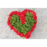 Cvetličarna Tila, Irena Logar s.p.