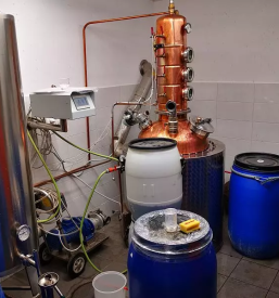 Borovnicevo zganje ljubljana okolica