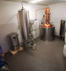 Borovnicevo zganje ljubljana okolica