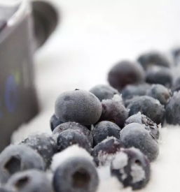 Borovnicevo zganje ljubljana okolica