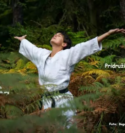 Dober judo klub za odrasle v Ljubljani
