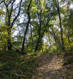 Rezan les Gornja Radgona