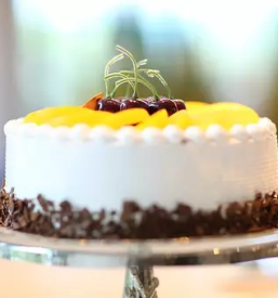 Najboljse torte v zirovnici