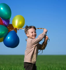 Najem prostora za druzenje in piknik izola