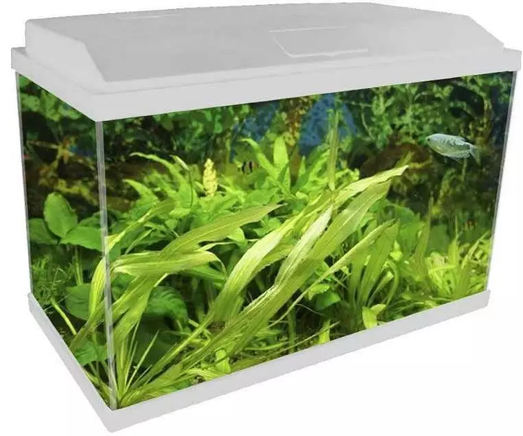 Prodaja koral Pulze, Aqua Medic