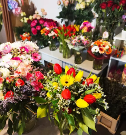 Prodaja lončnic Ivančna Gorica