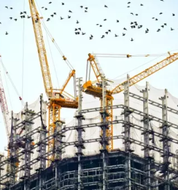 Projektiranje visokih stavb na Štajerskem