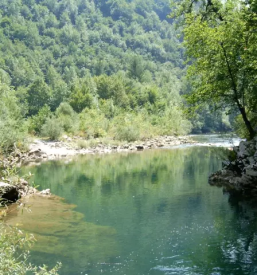 Colnarjenje in rafting po kolpi