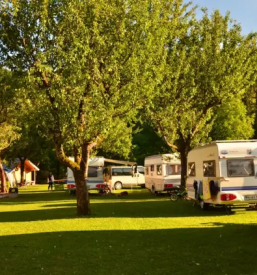Colnarjenje in rafting po kolpi