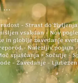 Delavnice fraktalnega risanja