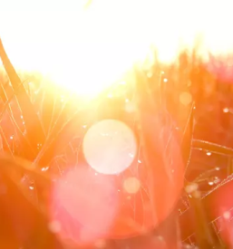 Delavnice fraktalnega risanja