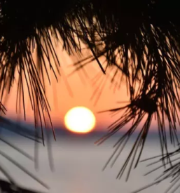 Delavnice za samopomoc slovenija