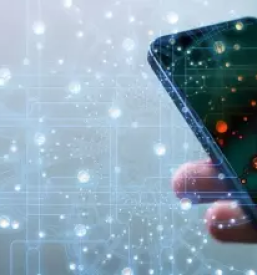 It storitve po meri slovenija