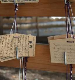 Precizna laserska obdelava lesa Štajerska