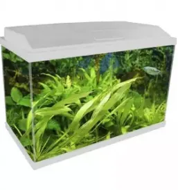 Akvarij oprema